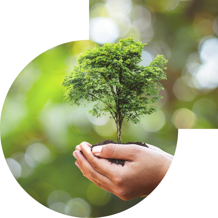 關懷人類、文化、環境與社會